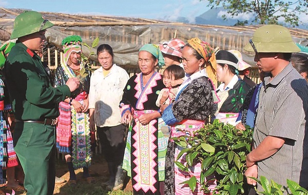 Đoàn kinh tế - quốc phòng 4 (Quân khu 4): Hiệu quả từ phối hợp thực hiện nhiệm vụ